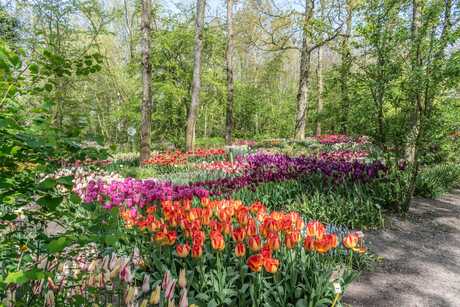 Bloemenweelde