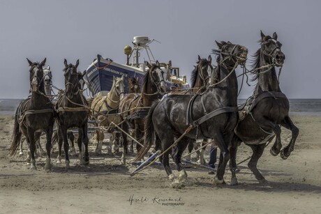 Paardenreddingsboot Abraham Fock
