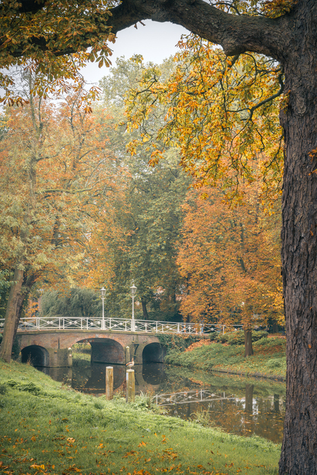 Utrecht Autumn Vibes