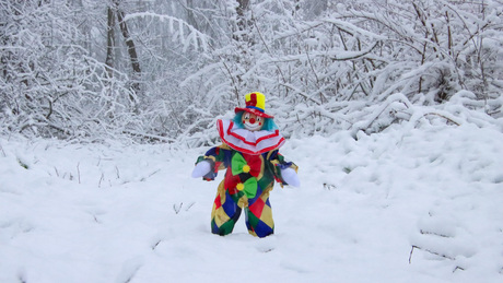 Clowntje Carnaval in de sneeuw