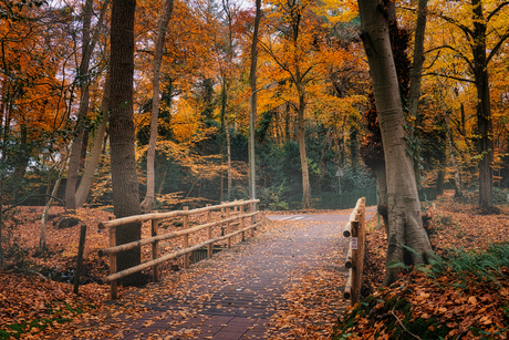 Herfst brug in bergen