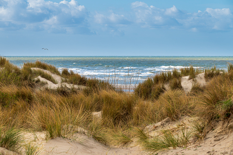duinen die de zee bewaken
