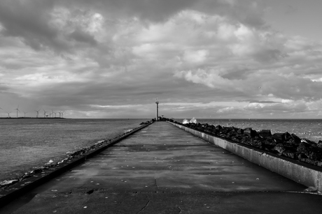 Pier hoek van holland