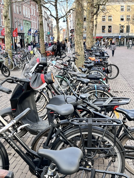 Fietsen in Delft. 