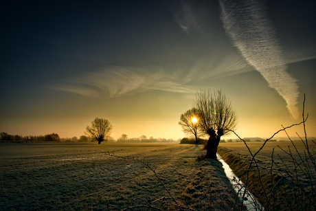 Winter morning