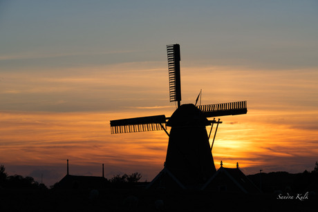 “Mijn” molen