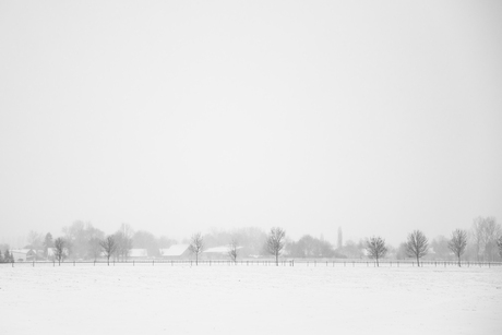 het witte vlakke land