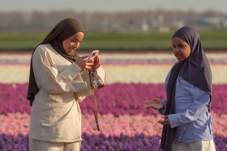 foto toerisme in bollenstreek