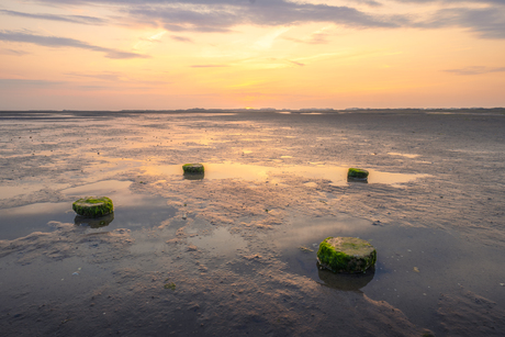 Het Wad.