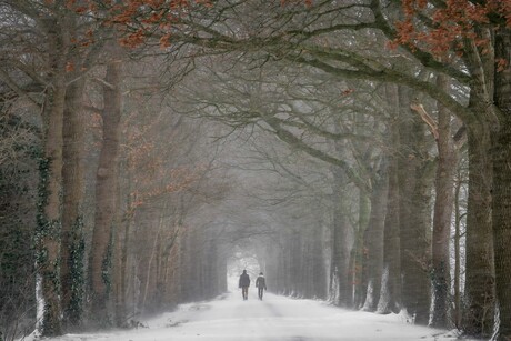 Winterwonderland in de Betuwe!