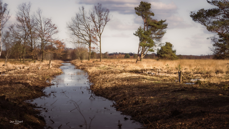 Winterwandeling