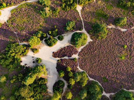 Heide vanuit de lucht