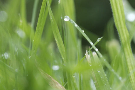 op zoek naar water 