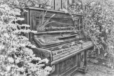 Let the music play
