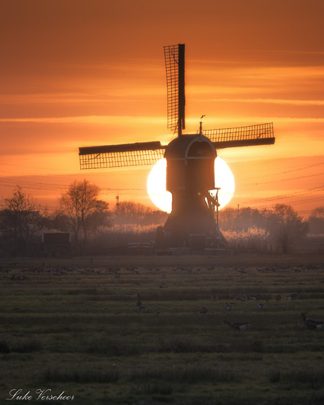 Sahara zonsondergang 
