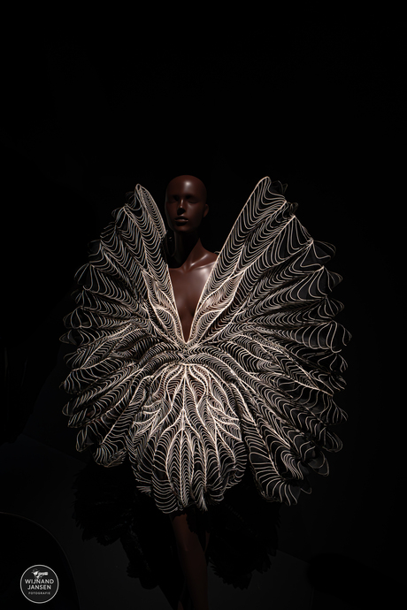 Couturier and artist Iris van Herpen