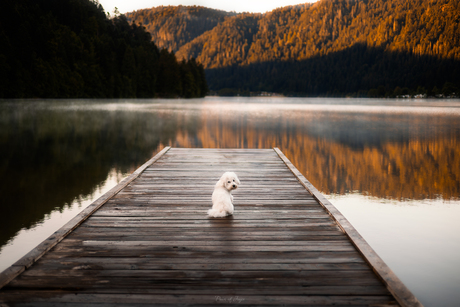 Magical Morning ❤️