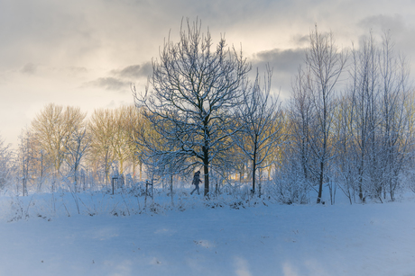 Achtergrondverlichting 