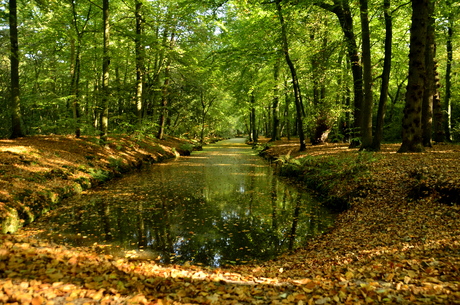 HERFST IN BERGEN