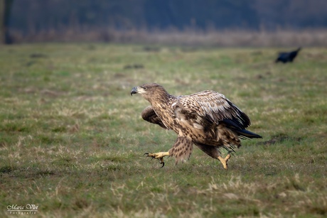 Going somewhere…..