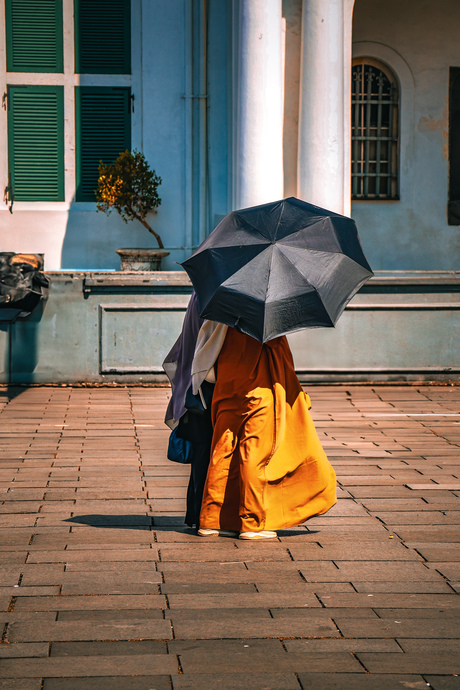 Sunny umbrella