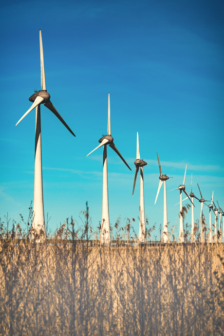 Windmolenpark nabij Rotterdamse Hoek