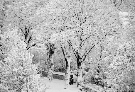 Winters plaatje in Friesland