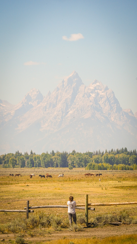 Grand teton 