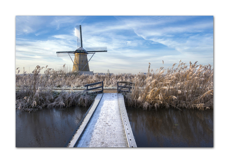 Kinderdijk