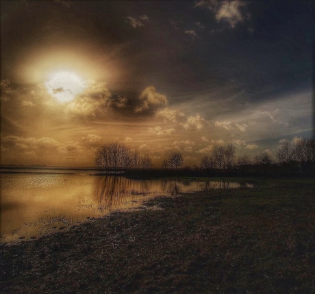 Ondergelopen natuurgebied