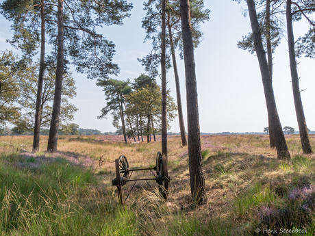 Karrenwielen Doldersummerveld