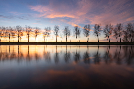 Tree line