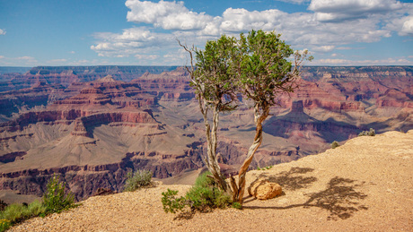 Grand Canyon