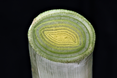 A Dirty Mind Is A Joy Forever