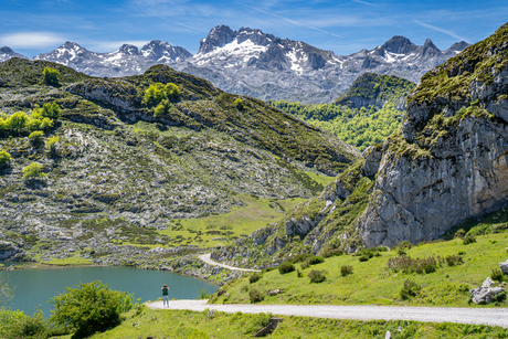 Picos de Europa