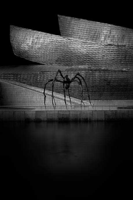 Spider