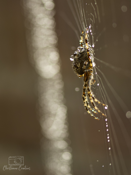 Net-werken in de miezerregen