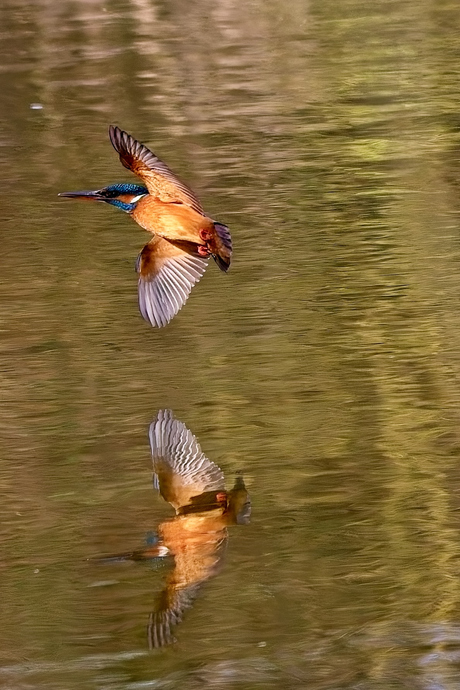 Spiegeling van snelheid