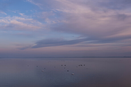 Mist op het Gooimeer