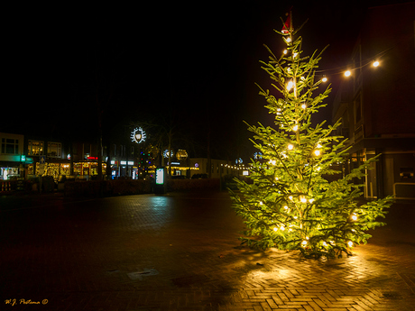 Kerstboom. 