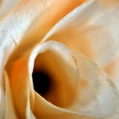 AbStracT 08