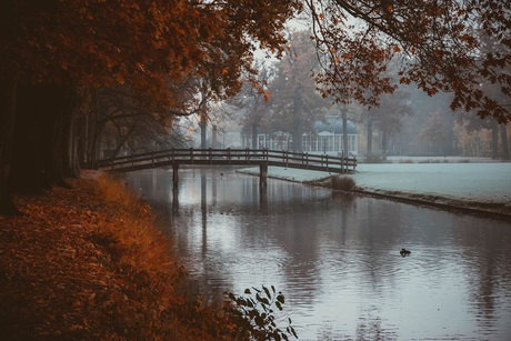 Herfst ochtend