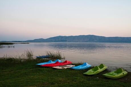 Shkodra lake