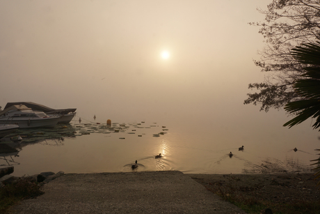 Aan Het Meer van Geneve