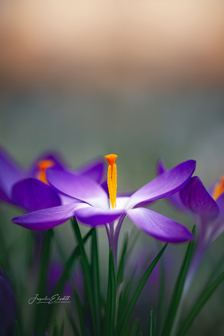 Light finds me anyway ...