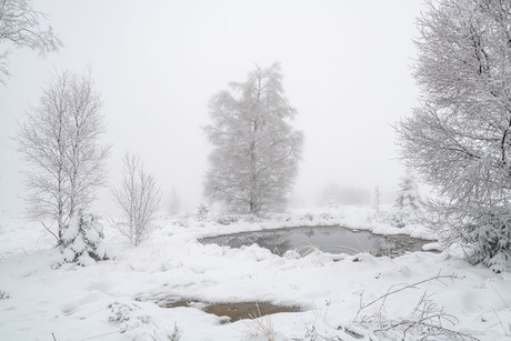 Winters landschap