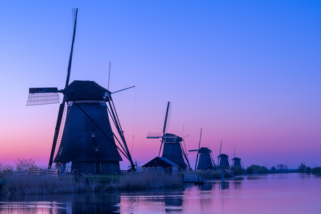 Blue  Hour @Kinderdijk