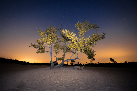 Nachtfoto Drunense Duinen