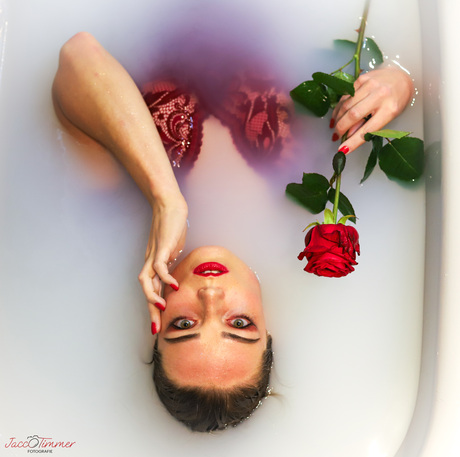 Valentine's day is coming 🌹