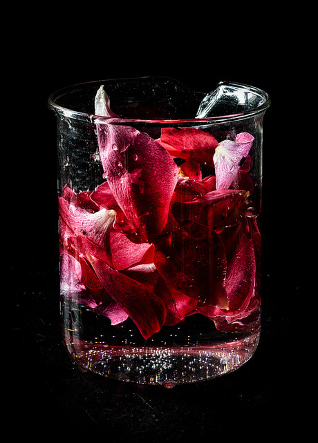 Rozenwater